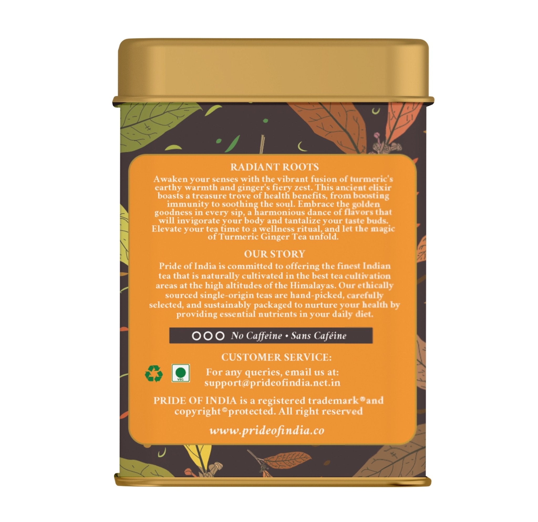 Golden Elixir - Turmeric Ginger Tea Bags - Amazing Grace Alignment