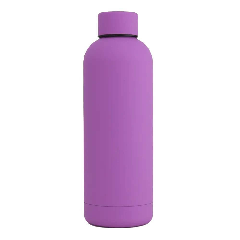 17oz Rubber Vacuum Insulated Stainless Steel Water Bottle - Amazing Grace Alignment